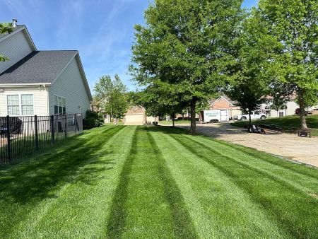How Can Regular Lawn Maintenance Improve the Health of Your Yard?