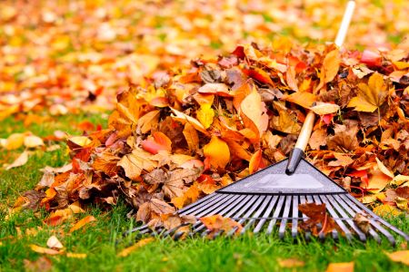 Keep Your Property Fresh Through Fall