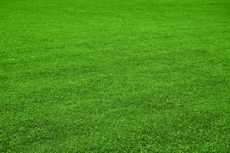 Stay Happy With Healthy Fertilized Lawns