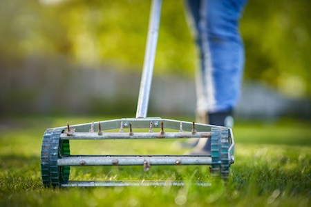 When Should You Schedule Aeration and Overseeding for Best Results?