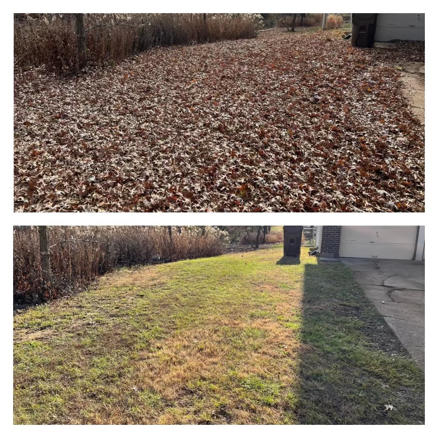 Efficient Leaf Removal & Vacuum In St. Charles, MO