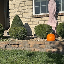 Expert-Shrub-Trimming-in-Weldon-Spring-Missouri-l-Brothers-Lawn-Maintenance 0