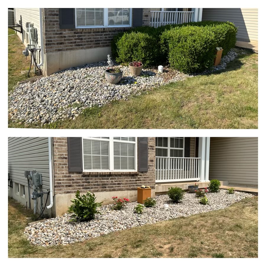 Planting Low Maintenance, Colorful Bushes In O’Fallon MO