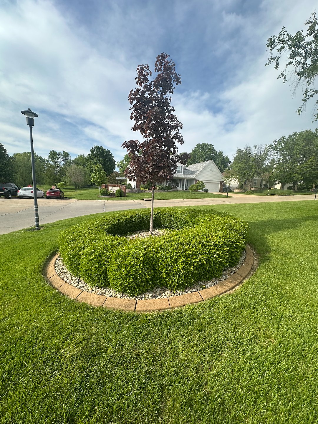 Professional Hedge Pruning Services in St. Charles, MO - Boosting Curb Appeal and Plant Health