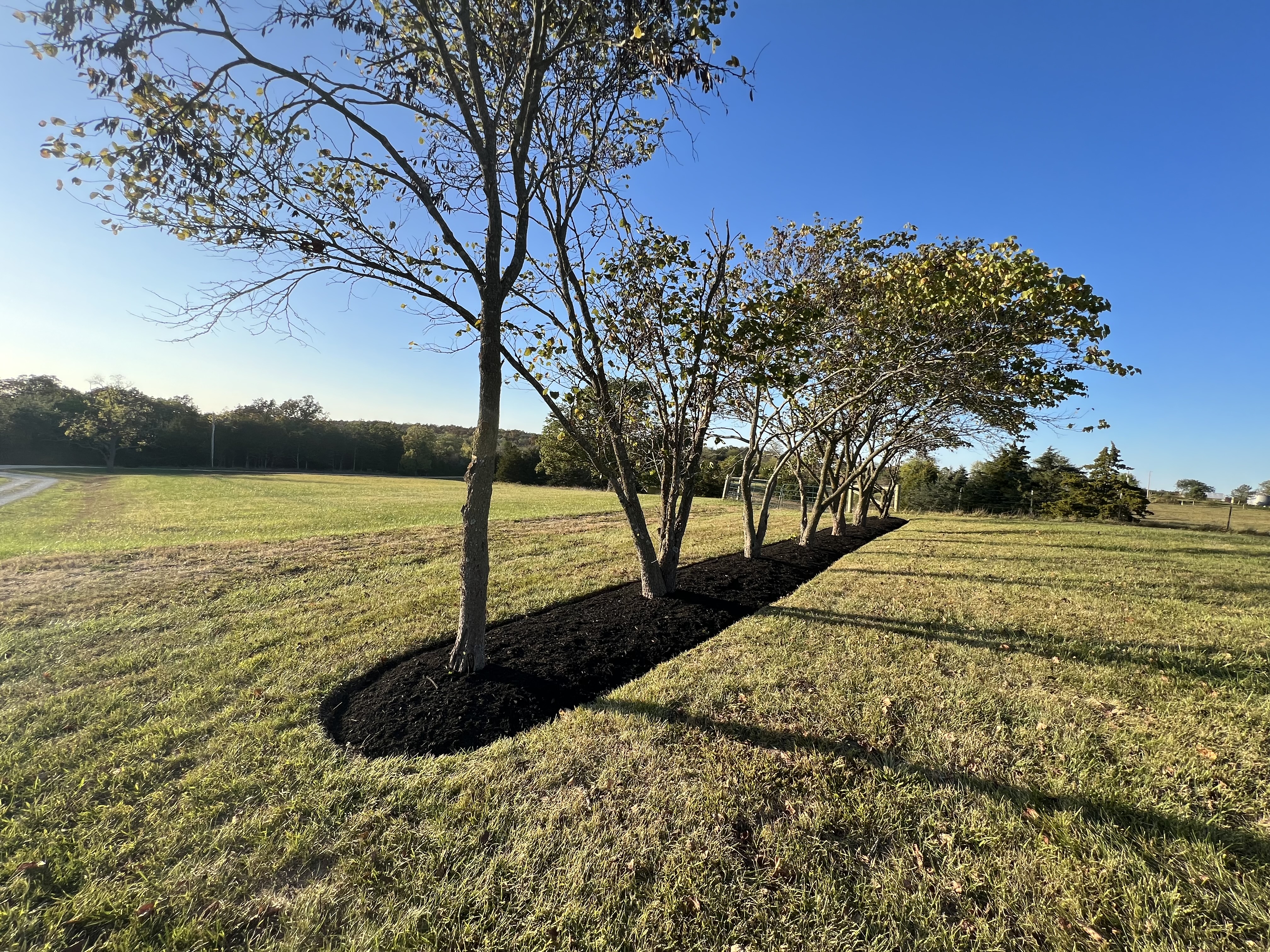 Professional Mulch Installation with Landscape Edging Services in Wentzville, MO
