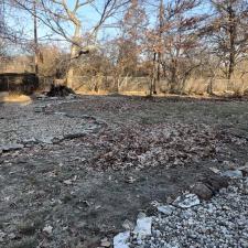 Top-Quality-Leaf-Removal-Services-of-2024-Performed-in 0